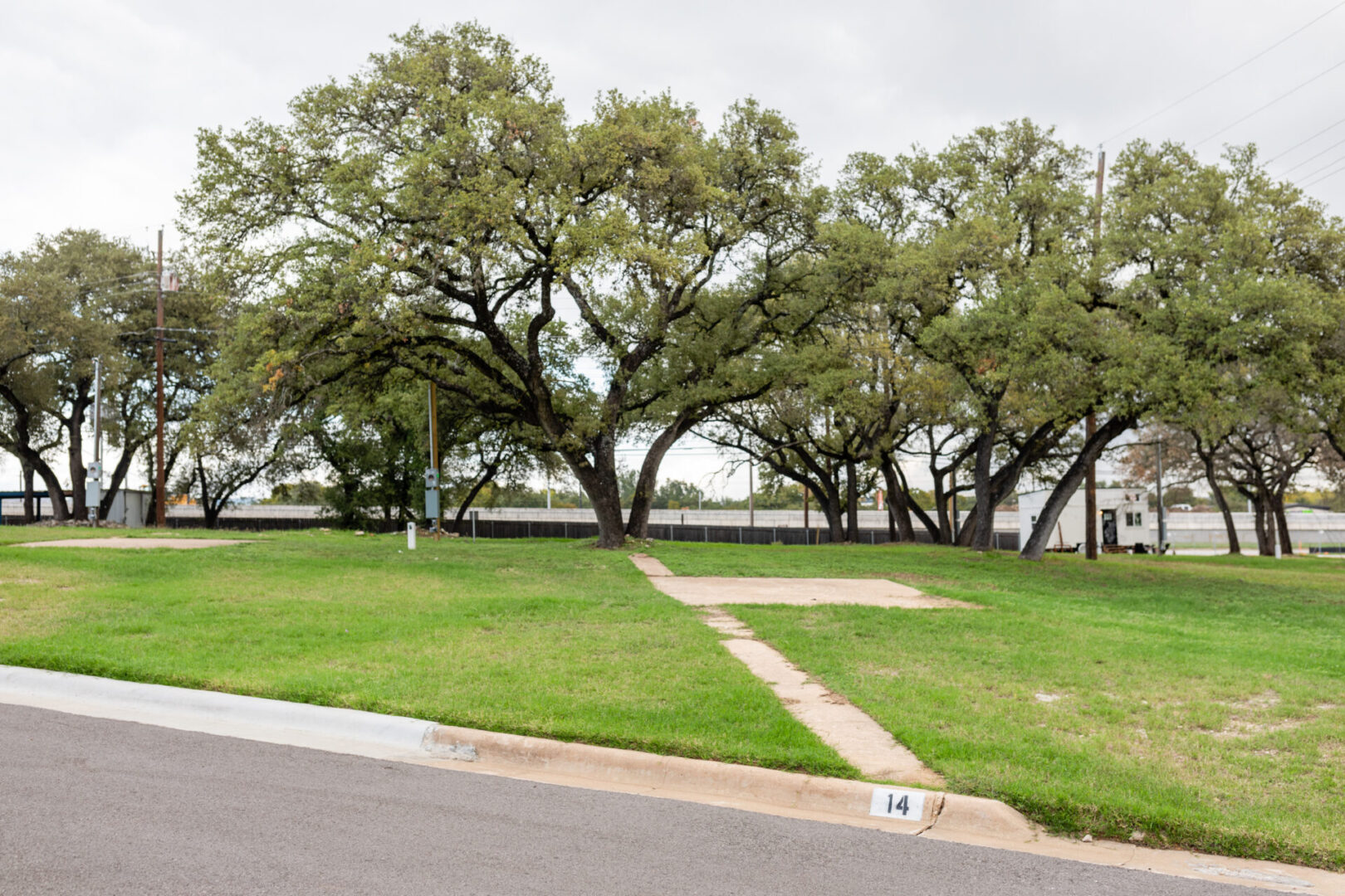 View of the trees in a park beside a road